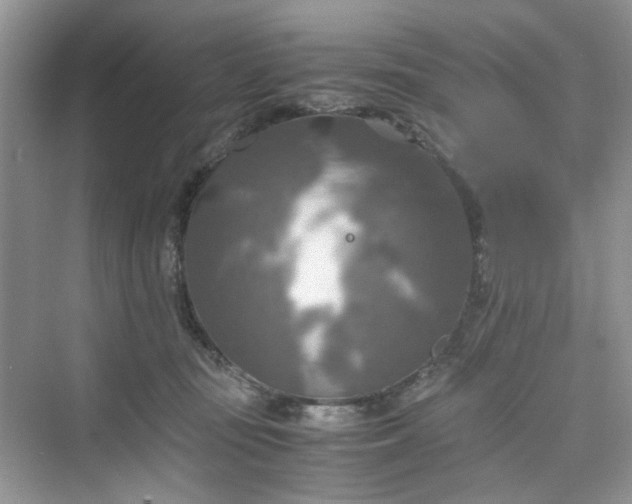 X0000075810371200609291351