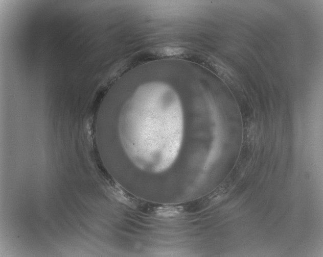 X0000075810373200609291351