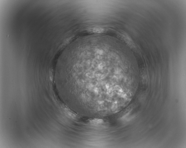 X0000075810374200609291351