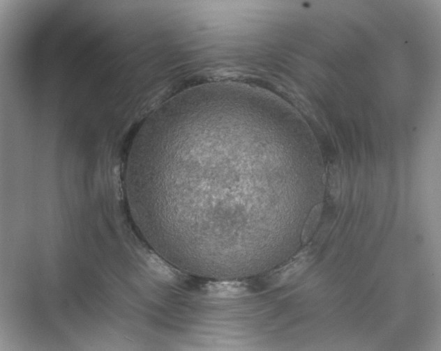 X0000075810378200609291351