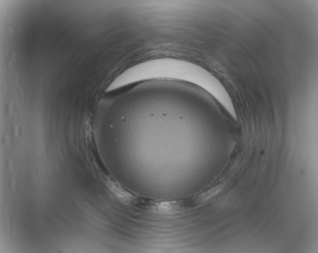 X0000075810382200609291351