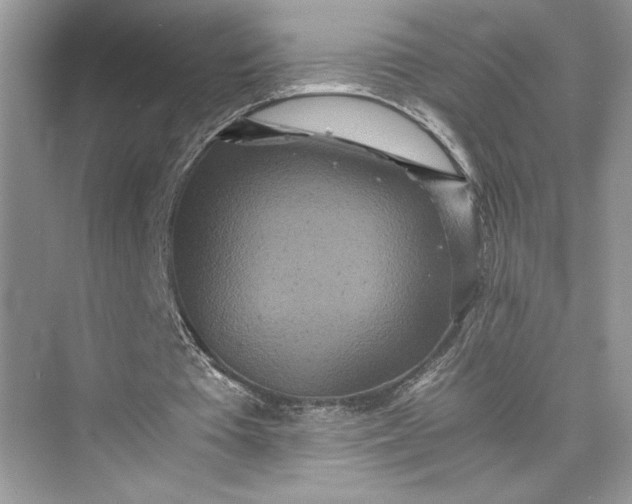 X0000075810385200609291350