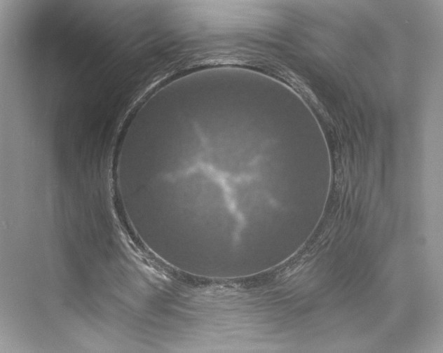 X0000075810386200609291350