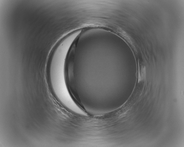 X0000075810387200609291350