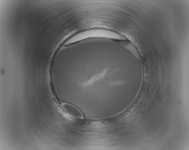 X0000075810390200609291350