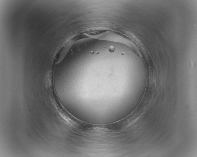 X0000075810393200609291350