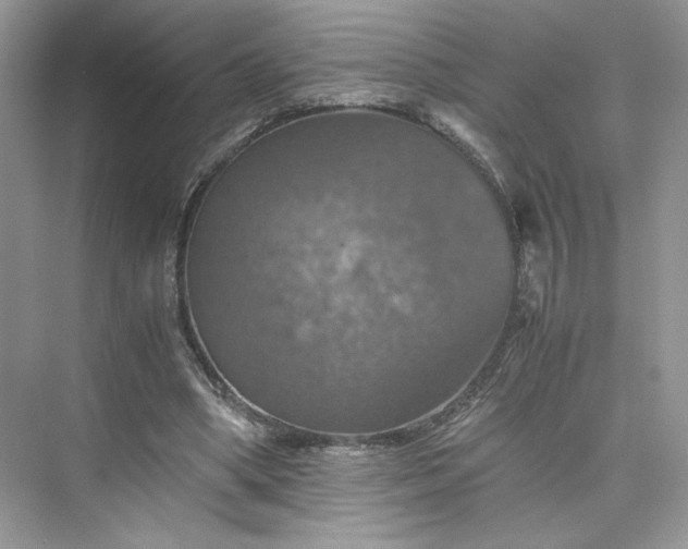 X0000075810394200609291350