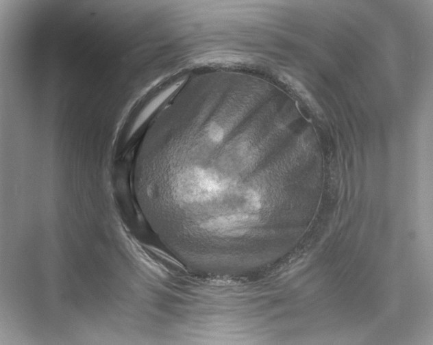 X0000075810399200609291350