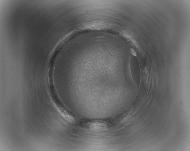 X0000075810400200609291350