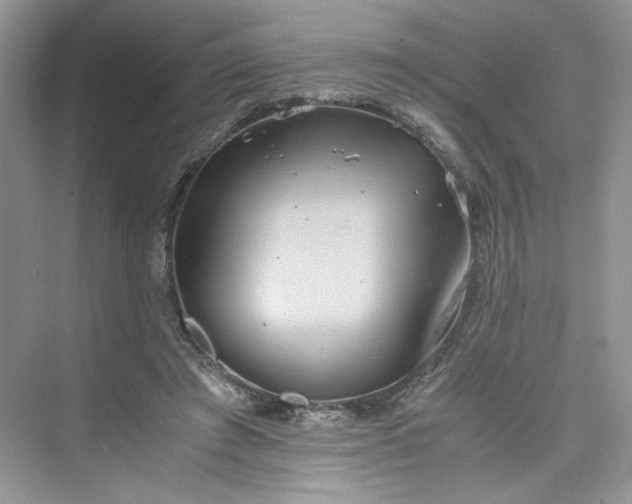 X0000075810401200609291350