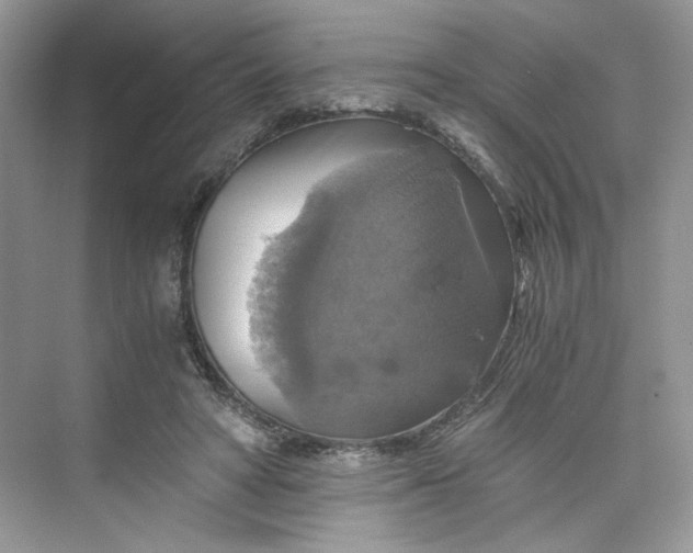 X0000075810402200609291350