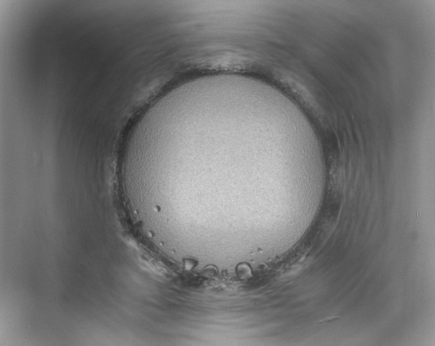 X0000075810403200609291350