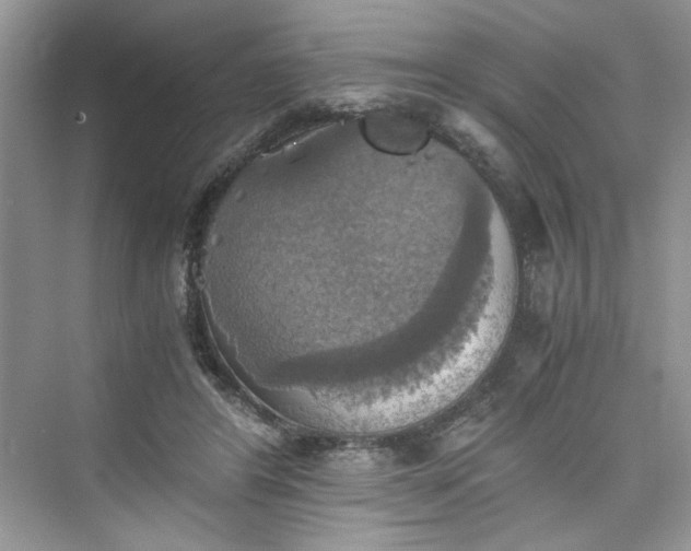 X0000075810404200609291350