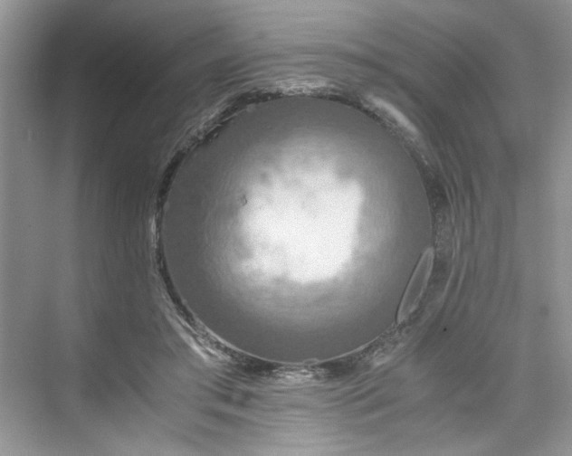 X0000075810405200609291350