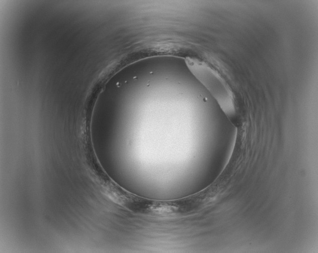 X0000075810407200609291350