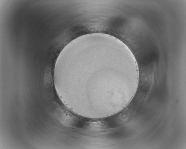 X0000075810411200609291350