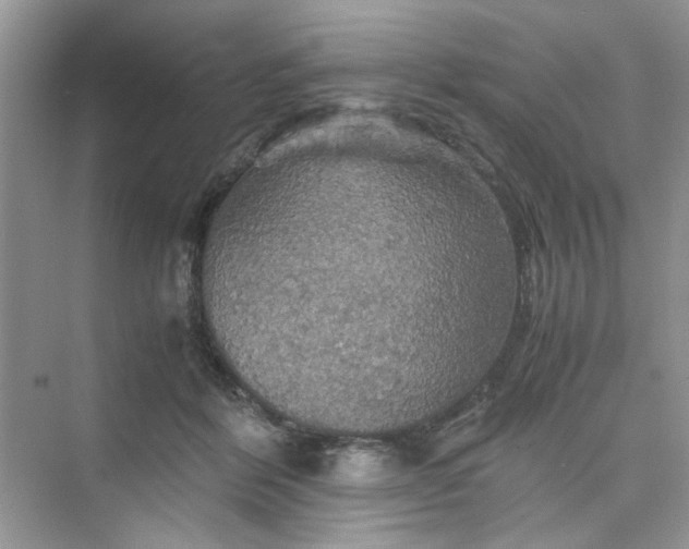 X0000075810412200609291350