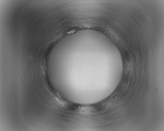 X0000075810414200609291350