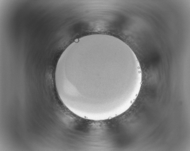 X0000075810415200609291350