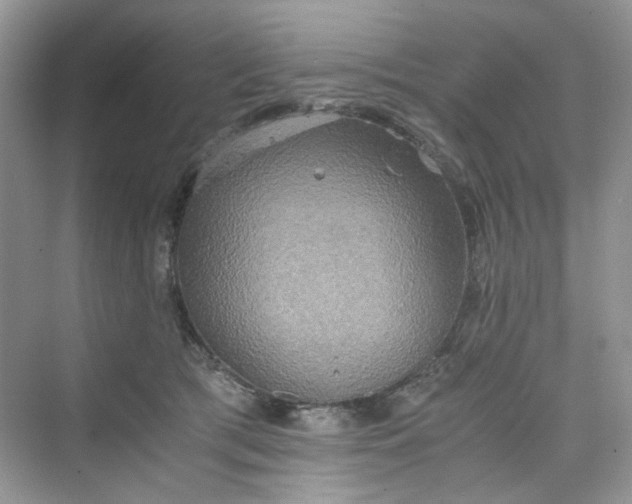 X0000075810417200609291350