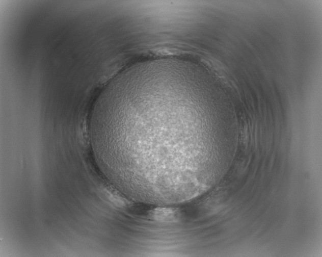 X0000075810418200609291350