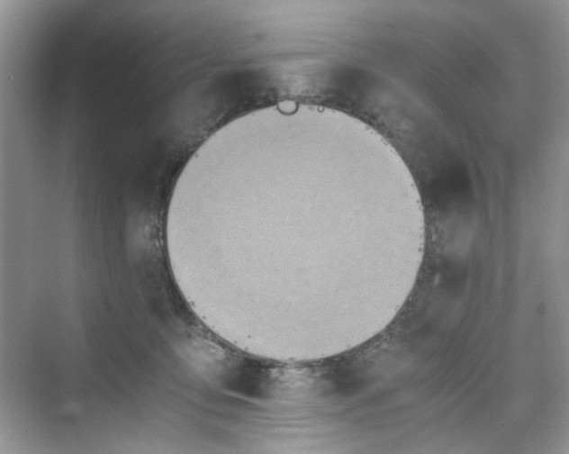 X0000075810419200609291350