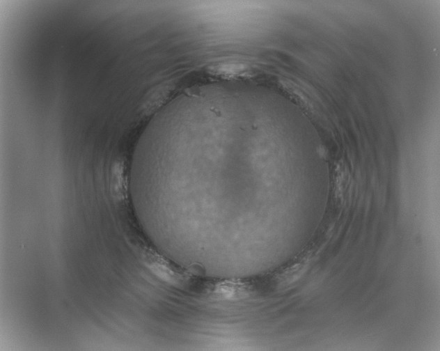 X0000075810420200609291350