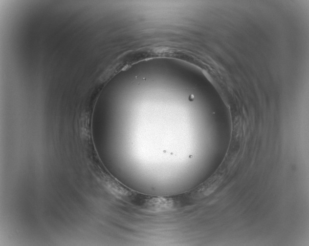 X0000075810421200609291350