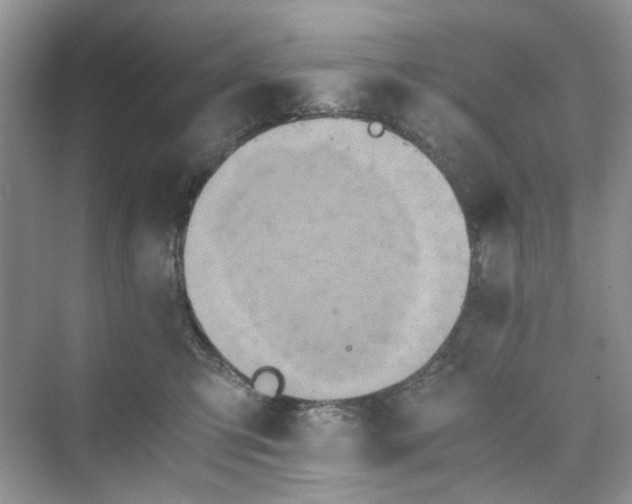 X0000075810423200609291350