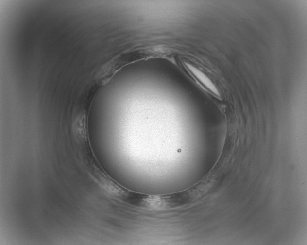 X0000075810425200609291350