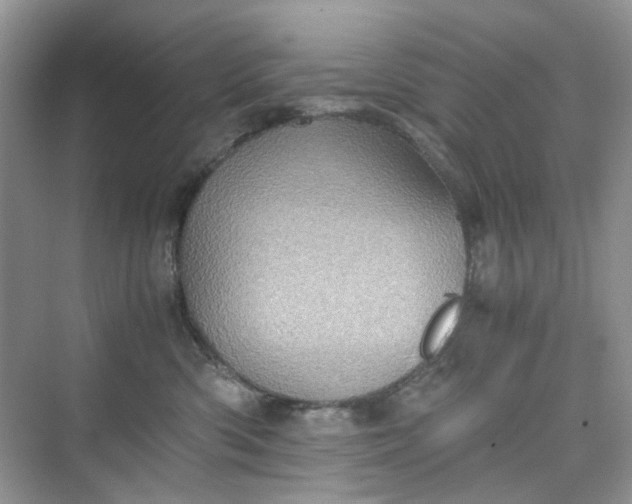 X0000075810426200609291350