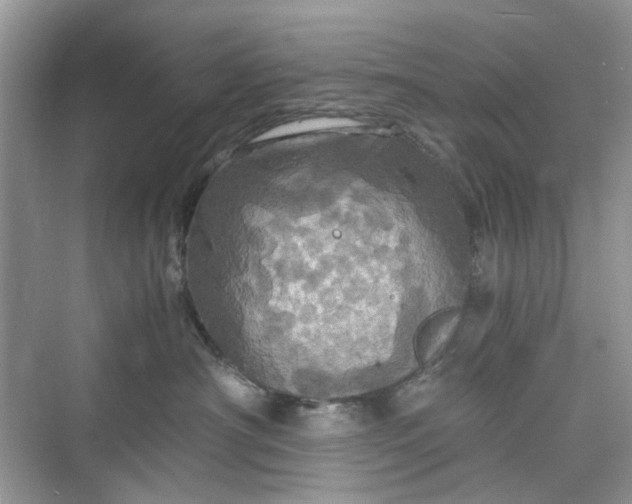 X0000075810430200609291350