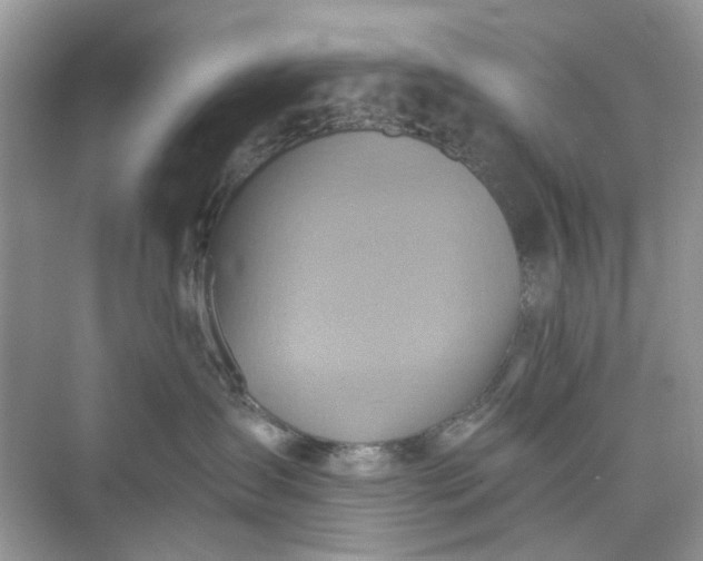 X0000075810431200609291350