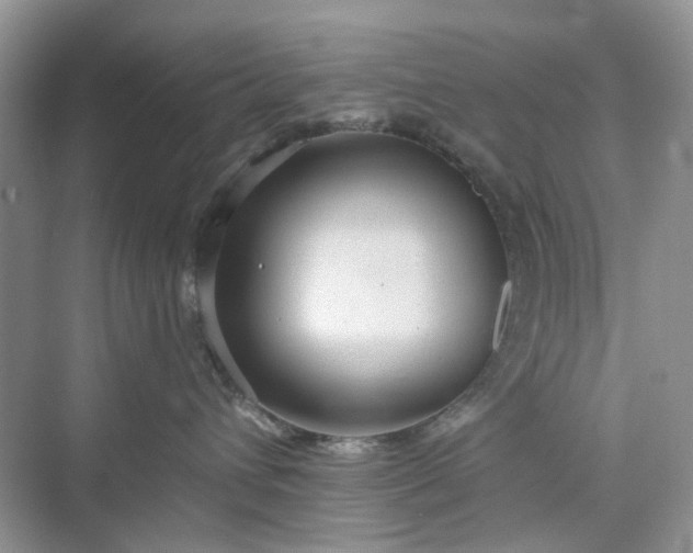 X0000075810432200609291350