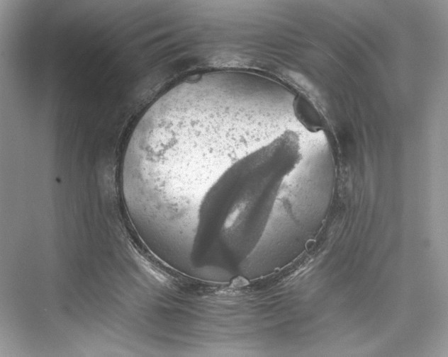 X0000075810441200609291349