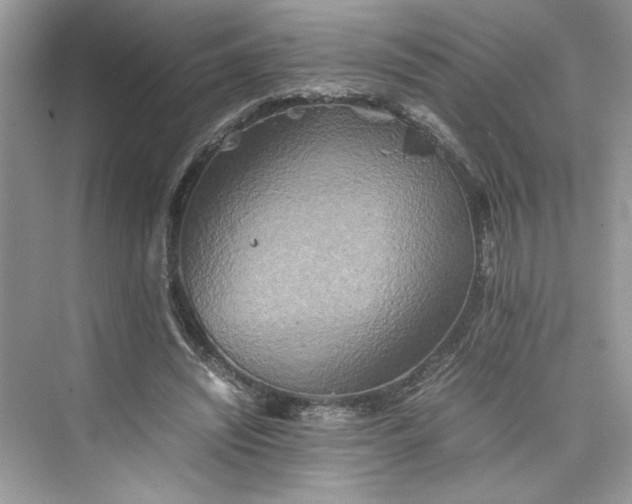 X0000075810444200609291349