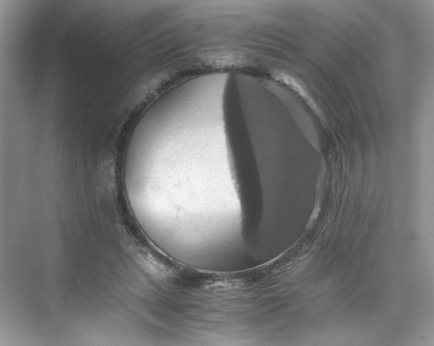 X0000075810447200609291349