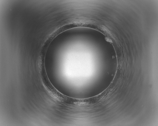 X0000075810448200609291349