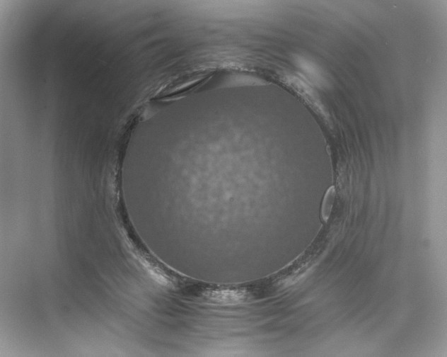 X0000075810449200609291349