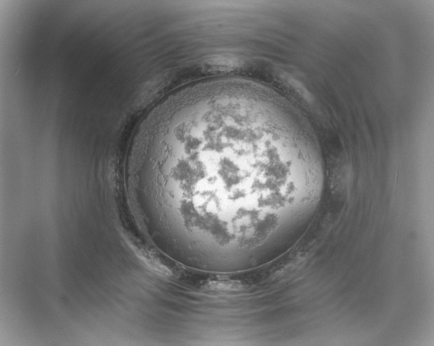 X0000075810455200609291349