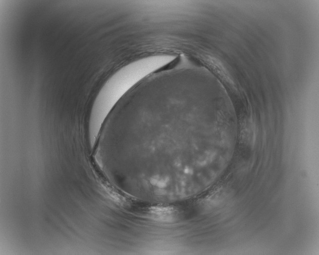 X0000075810457200609291349