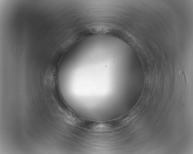 X0000075810460200609291349