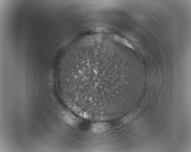 X0000075810461200609291349