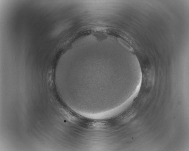 X0000075810462200609291349