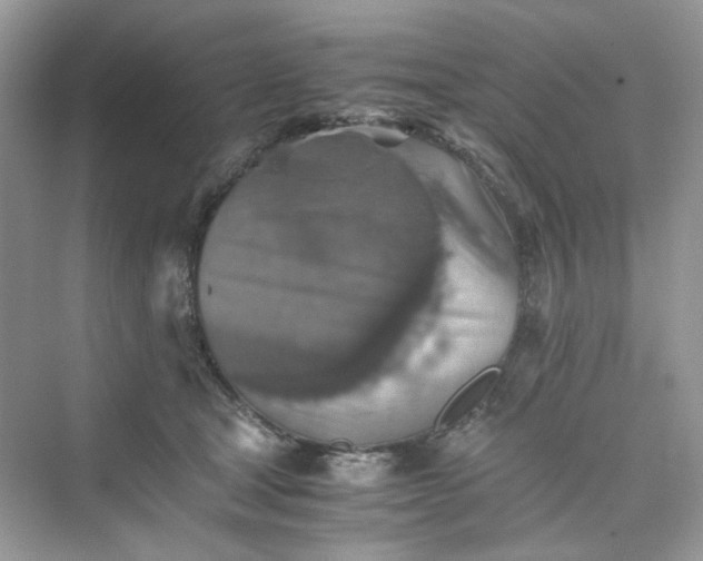 X0000075810465200609291349