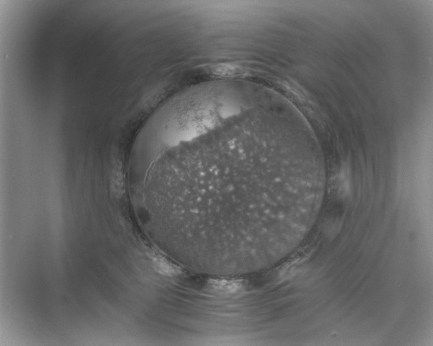 X0000075810469200609291349