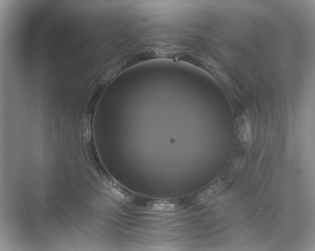 X0000075810471200609291350