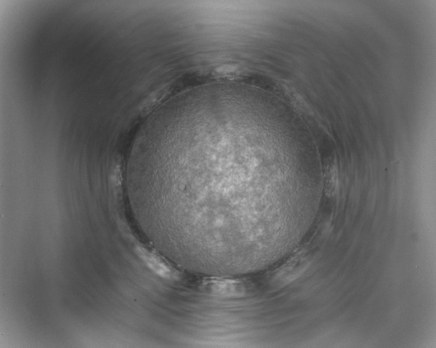 X0000075810472200609291350