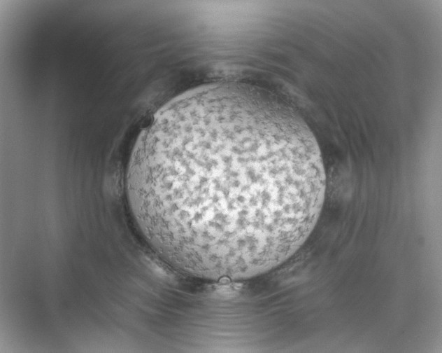 X0000075810474200609291350