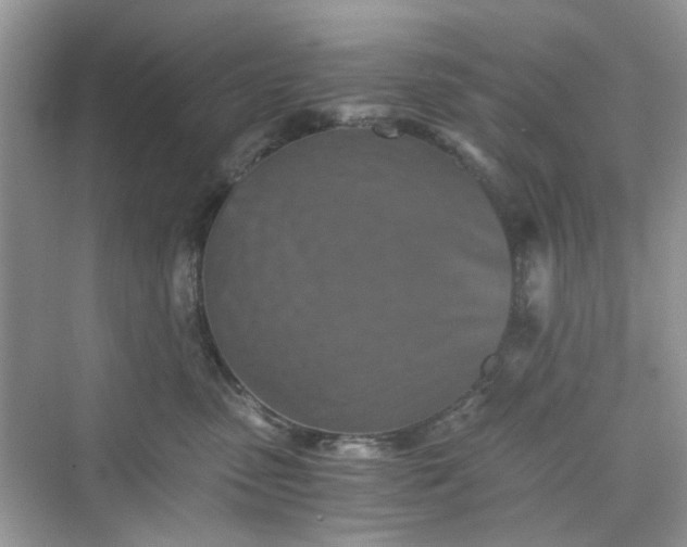 X0000075810475200609291350